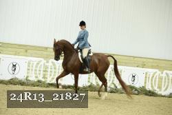 24R13_21827 thumbnail