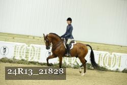 24R13_21828 thumbnail
