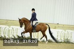 24R13_21829 thumbnail