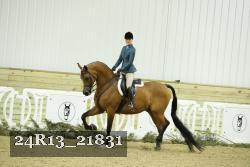 24R13_21831 thumbnail