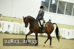 24R13_21833 thumbnail