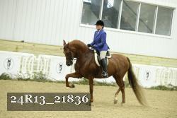24R13_21836 thumbnail