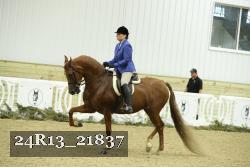 24R13_21837 thumbnail