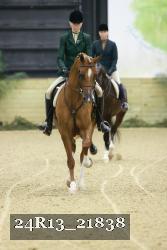 24R13_21838 thumbnail
