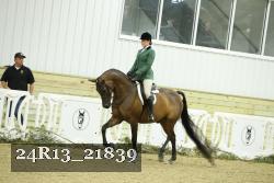 24R13_21839 thumbnail