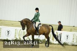24R13_21841 thumbnail