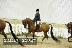 24R13_21847 thumbnail