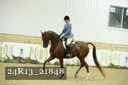 24R13_21848 thumbnail