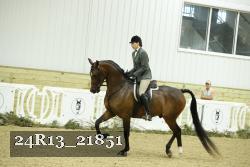 24R13_21851 thumbnail