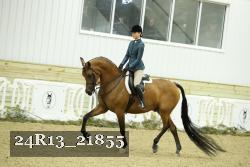 24R13_21855 thumbnail