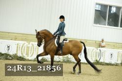 24R13_21856 thumbnail