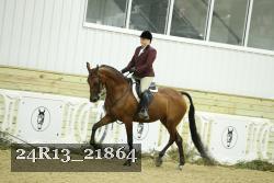 24R13_21864 thumbnail