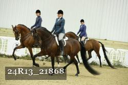 24R13_21868 thumbnail