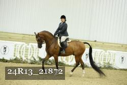 24R13_21872 thumbnail