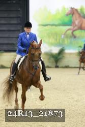 24R13_21873 thumbnail