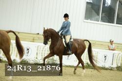 24R13_21876 thumbnail