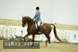 24R13_21877 thumbnail