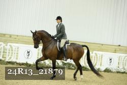 24R13_21879 thumbnail