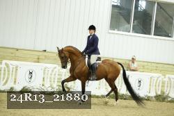 24R13_21880 thumbnail
