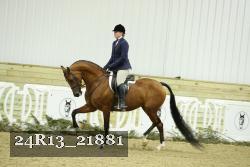 24R13_21881 thumbnail