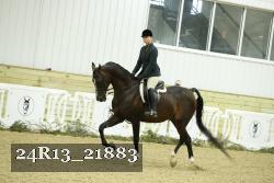 24R13_21883 thumbnail