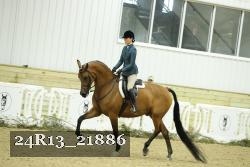 24R13_21886 thumbnail