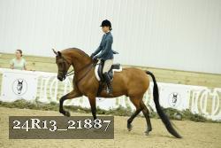 24R13_21887 thumbnail
