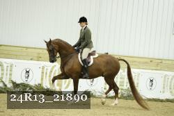 24R13_21890 thumbnail