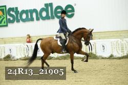 24R13_21905 thumbnail