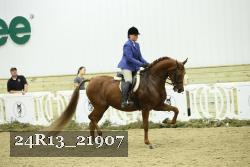 24R13_21907 thumbnail