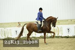 24R13_21908 thumbnail