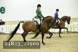 24R13_21909 thumbnail