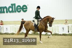 24R13_21910 thumbnail