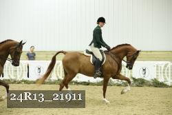 24R13_21911 thumbnail