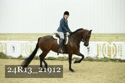 24R13_21912 thumbnail