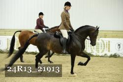 24R13_21913 thumbnail