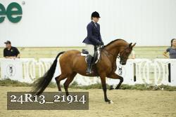 24R13_21914 thumbnail
