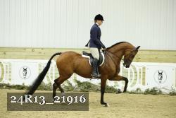 24R13_21916 thumbnail
