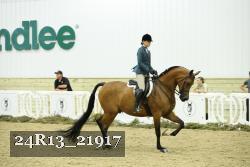 24R13_21917 thumbnail