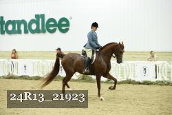 24R13_21923 thumbnail