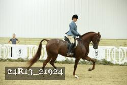 24R13_21924 thumbnail