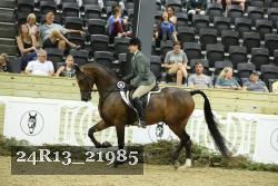 24R13_21985 thumbnail