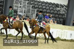 24R13_21990 thumbnail