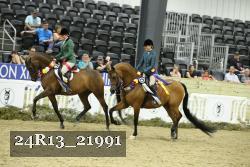 24R13_21991 thumbnail