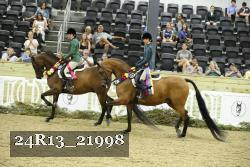24R13_21998 thumbnail