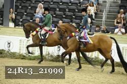 24R13_21999 thumbnail