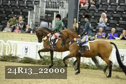 24R13_22000 thumbnail
