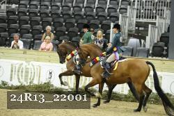 24R13_22001 thumbnail