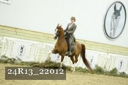 24R13_22012 thumbnail