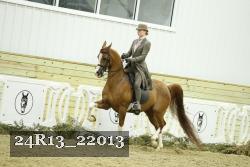 24R13_22013 thumbnail